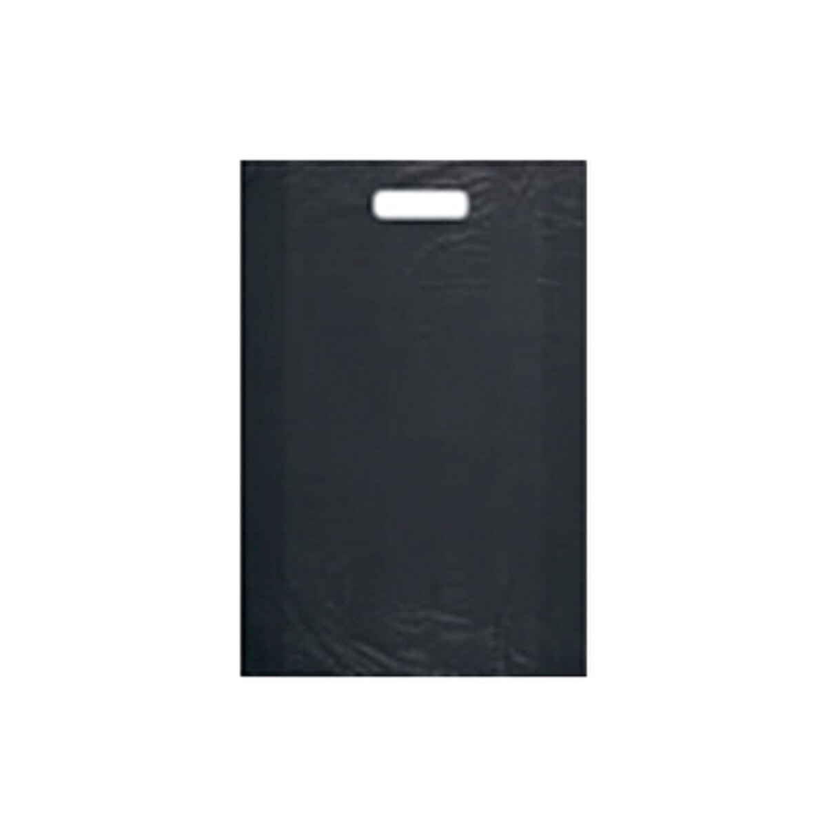 H.D. Plastic Merchandise Bags - 12
